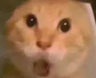 澳客-失准了！NBA现象级新秀！东契奇有望登顶三分王